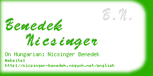 benedek nicsinger business card